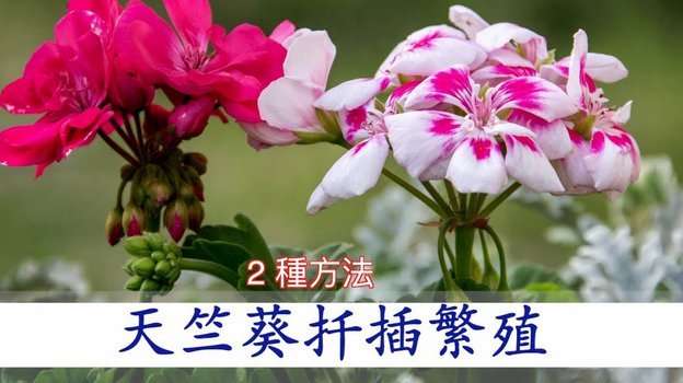 花呗套现：隐藏的财务风险