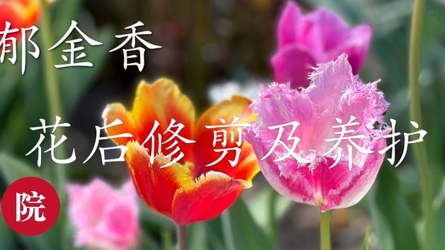 频繁套花呗会怎样