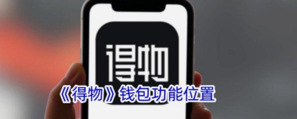 得物钱包提现：手续费多少？安全吗？
