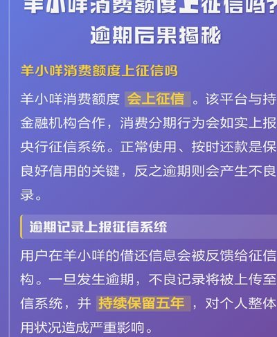 羊小咩逾期后面临什么？深度解析信用危机与法律追责