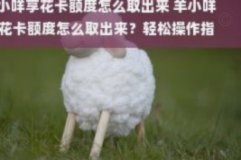 羊小咩怎么取出