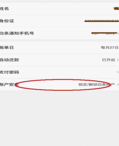 白条支付限额设置深度解析